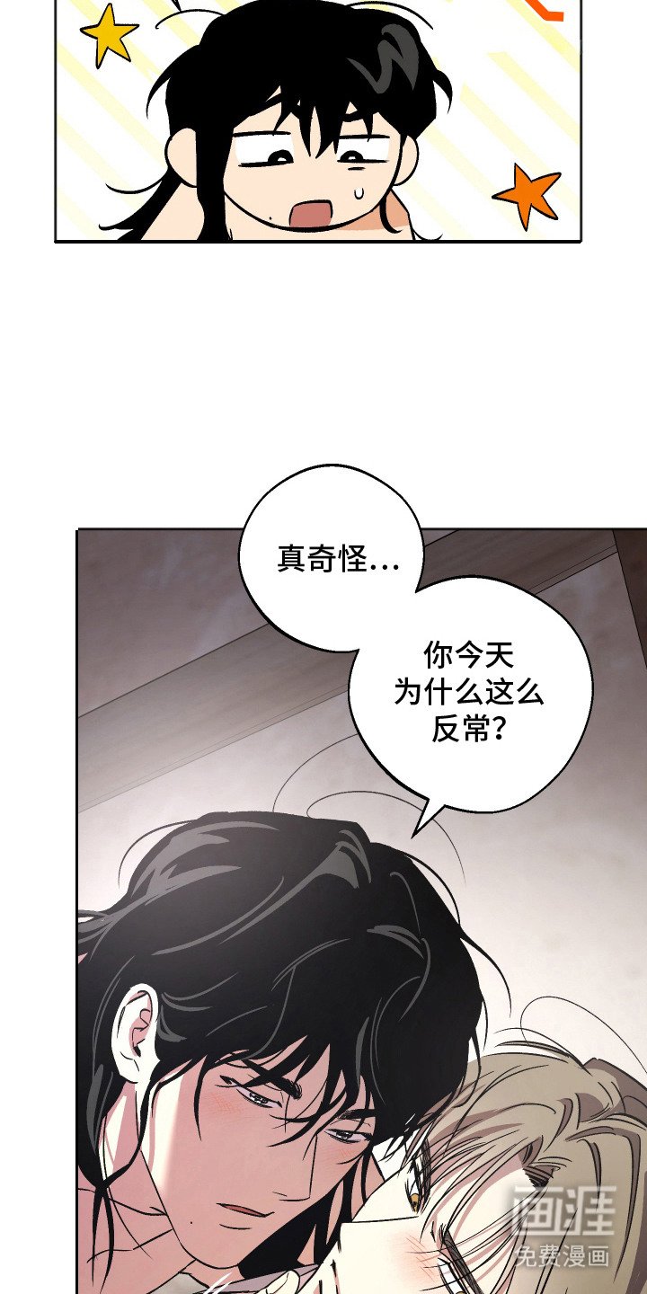 第12章：反常