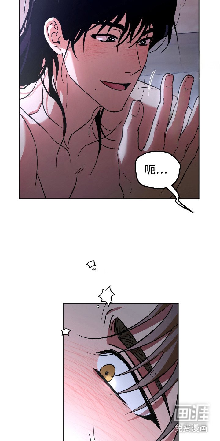第12章：反常