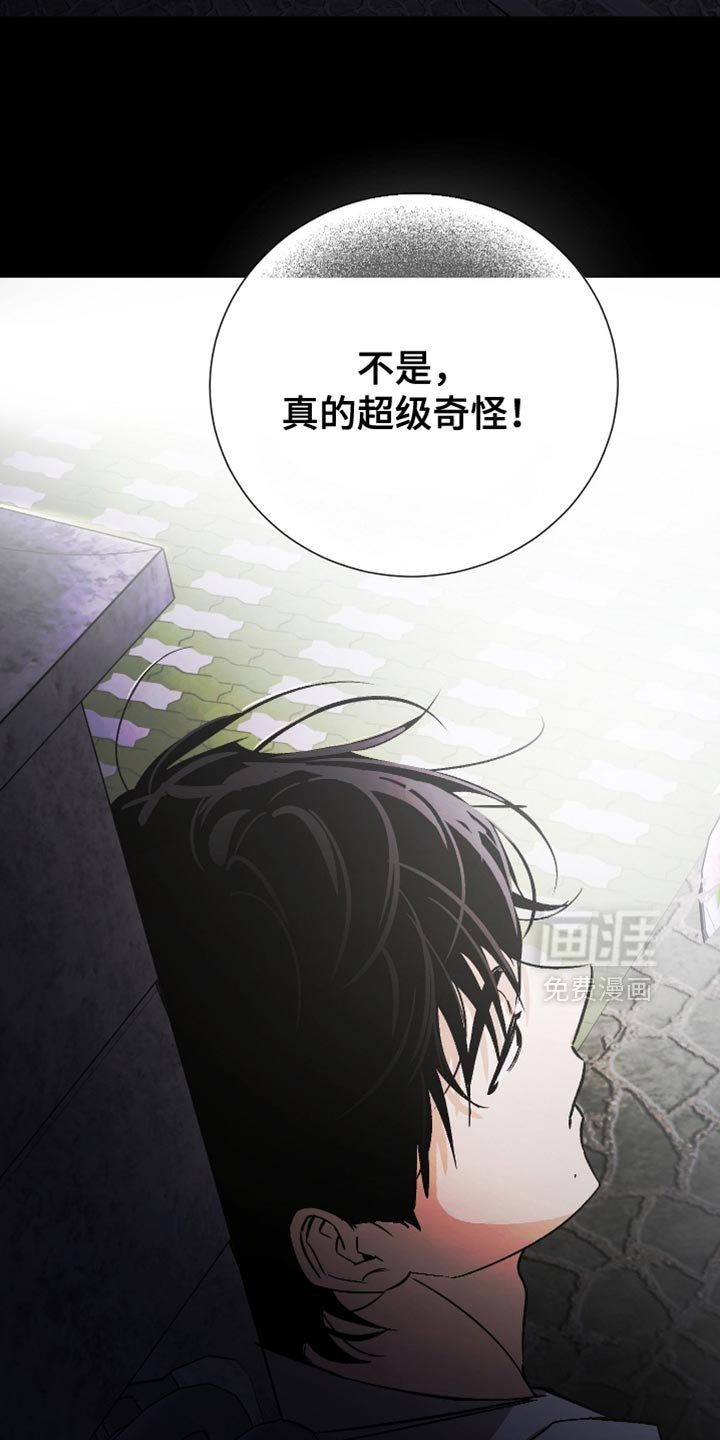 第25章：超级奇怪！