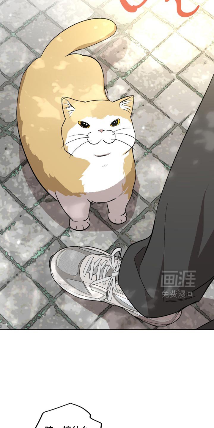 第28章：皱着眉头