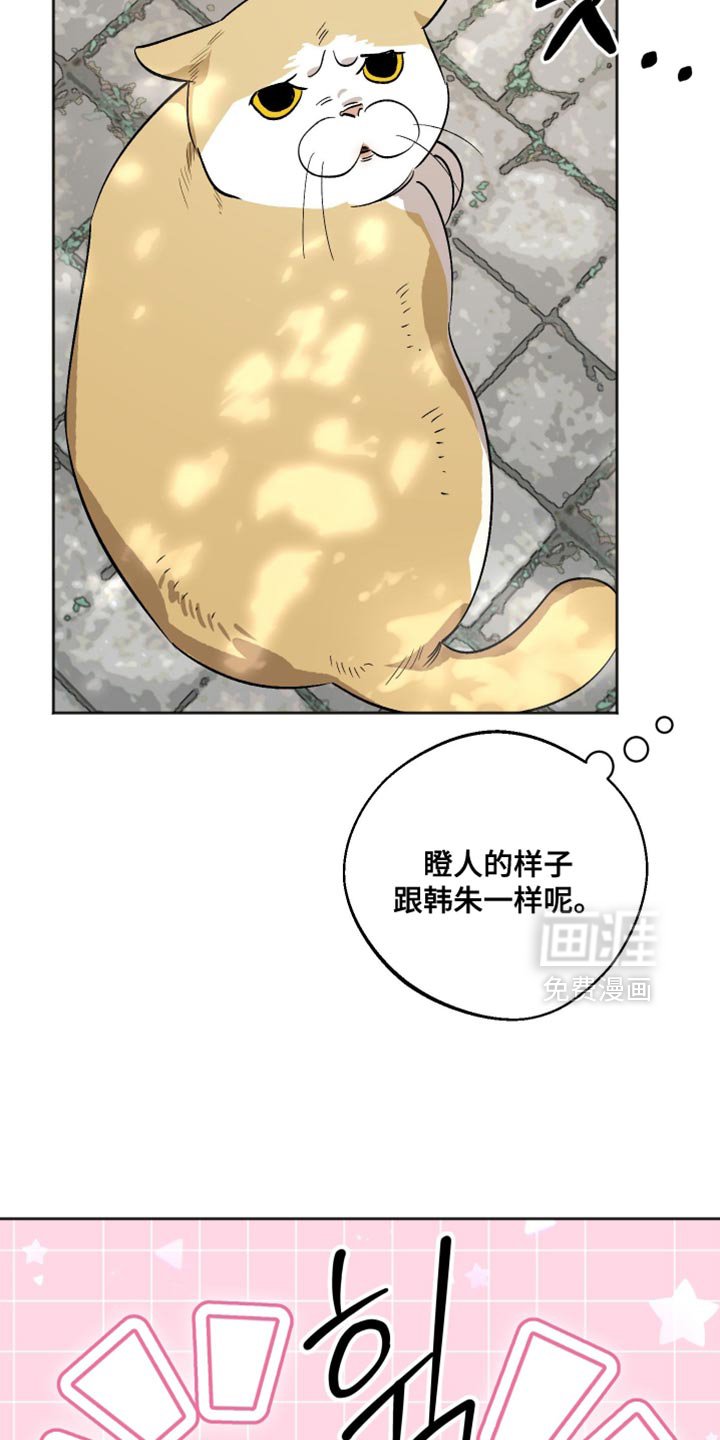 第28章：皱着眉头