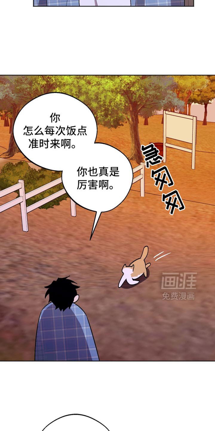 第38章：小聪明
