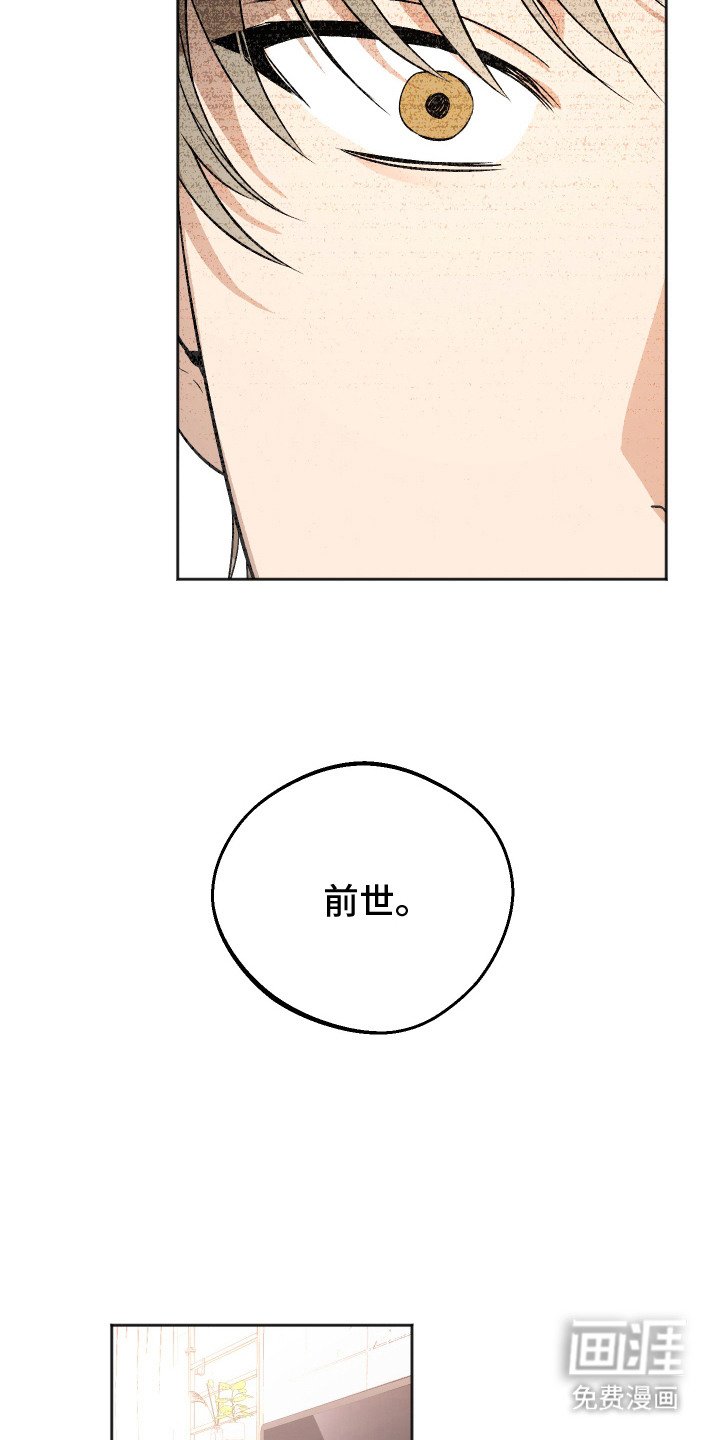 第4章：前世