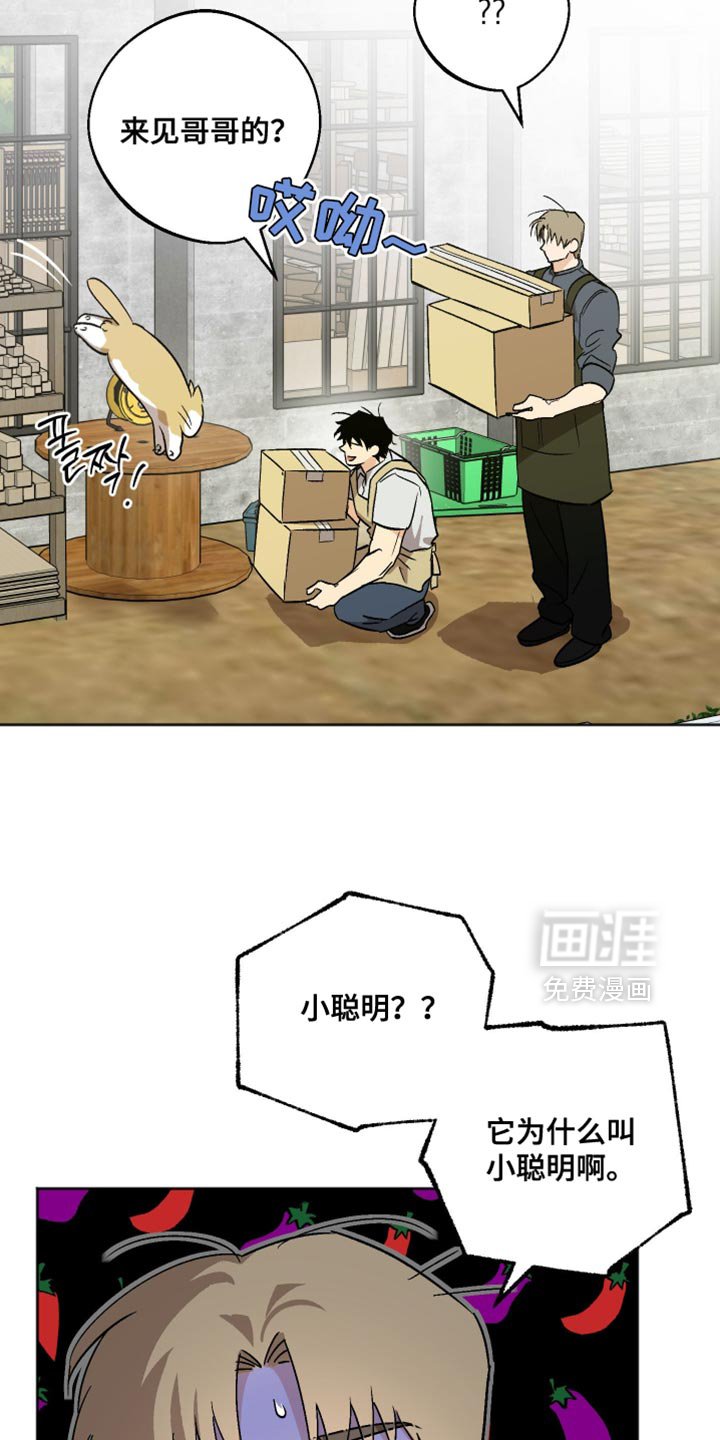 第41章：别在这种时候固执