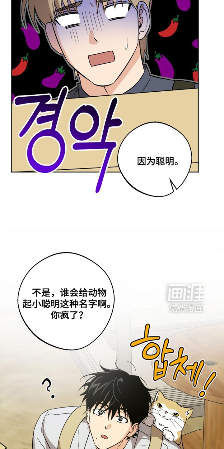 第41章：别在这种时候固执