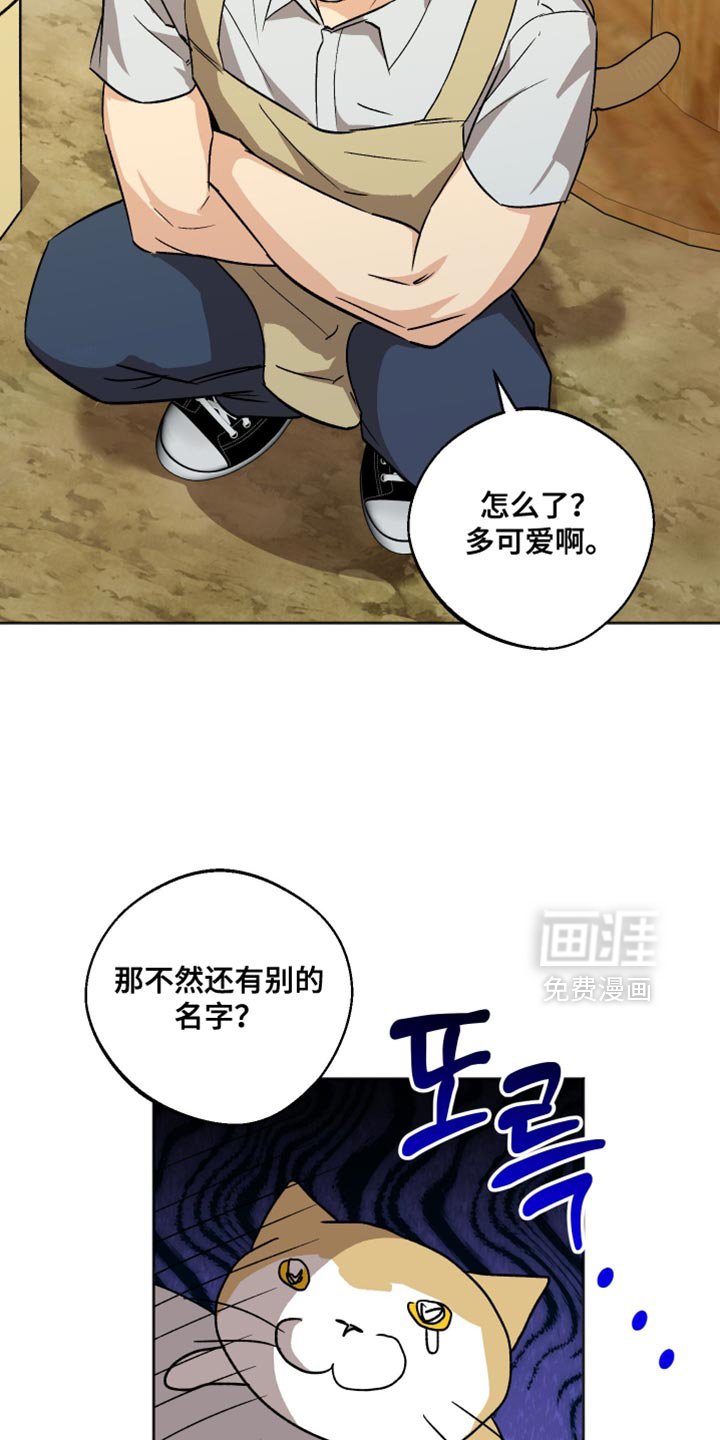 第41章：别在这种时候固执