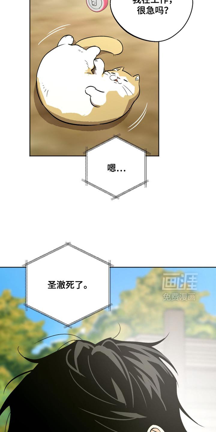 第41章：别在这种时候固执