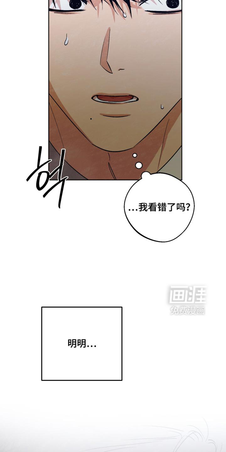 第43章：幻觉