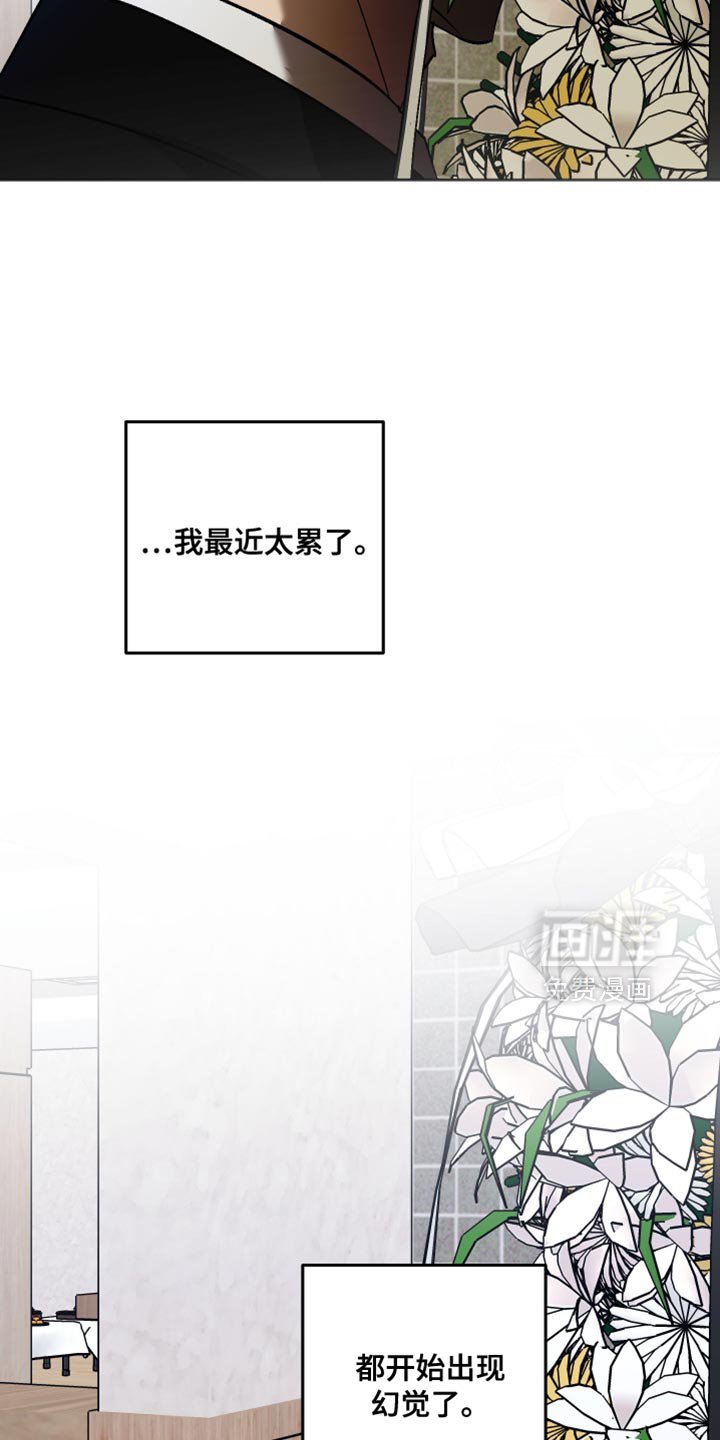 第43章：幻觉