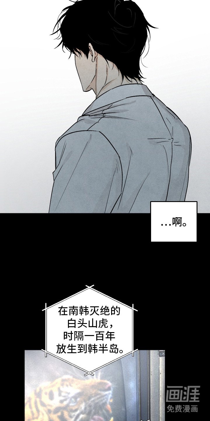 第5章：感到混乱