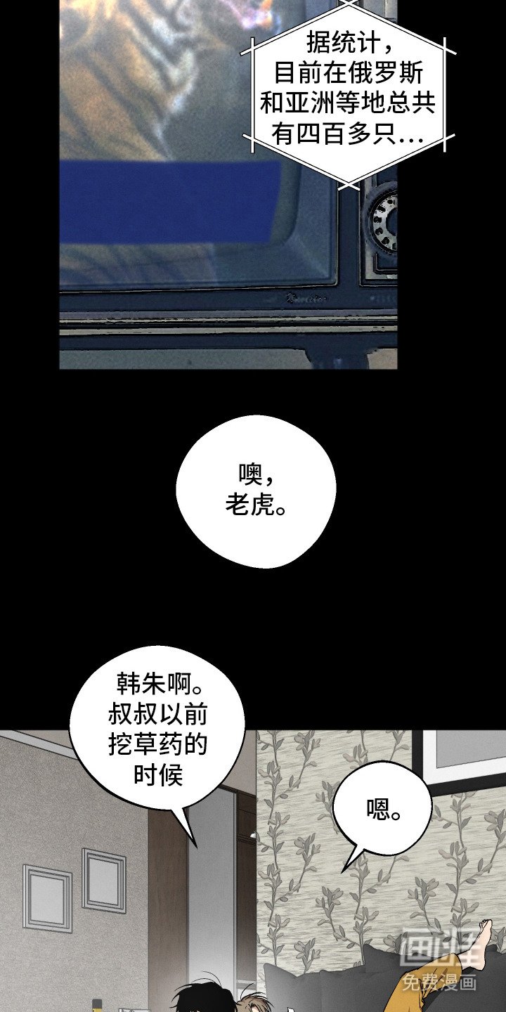 第5章：感到混乱