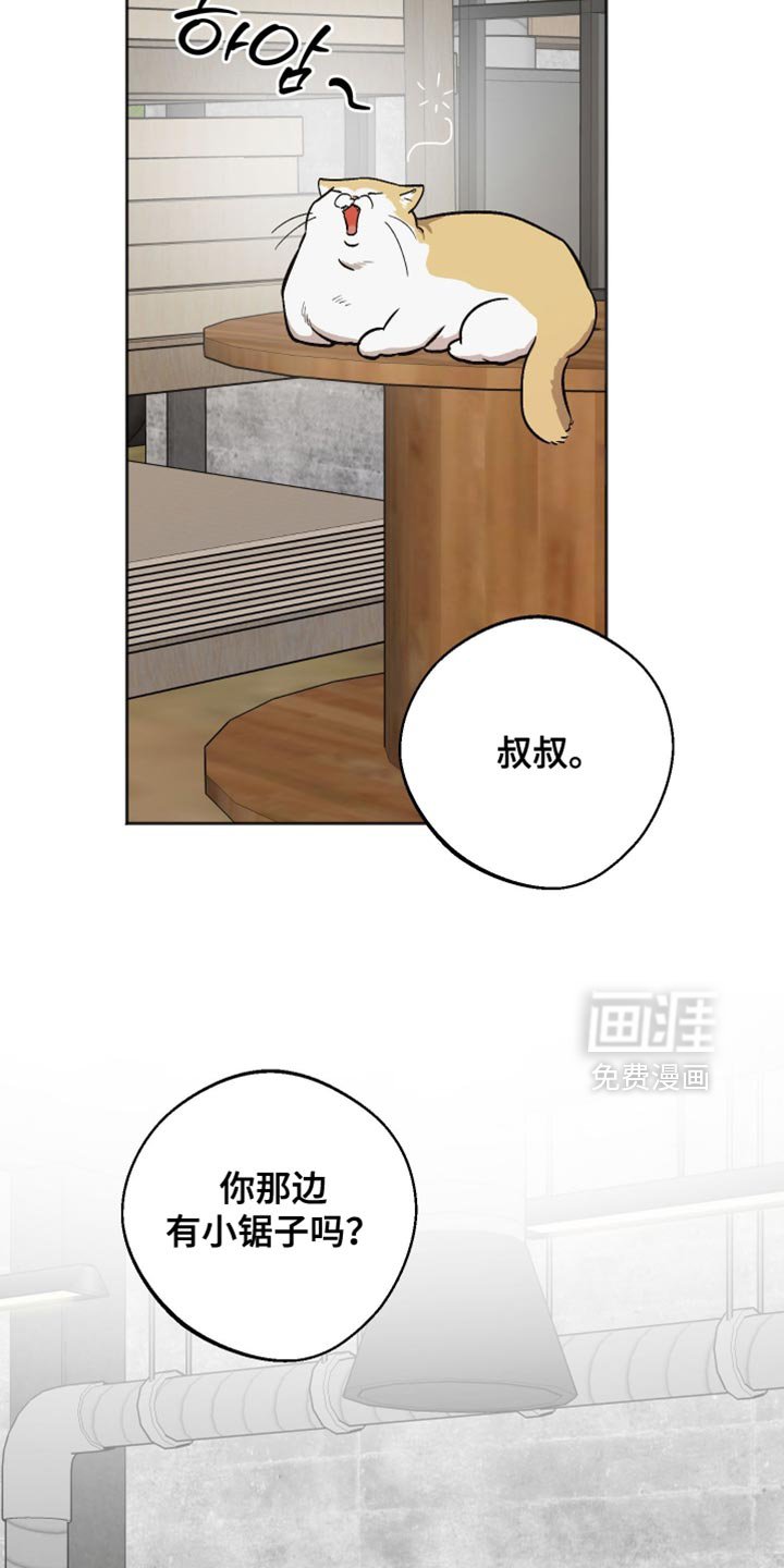 第50章：做个好梦