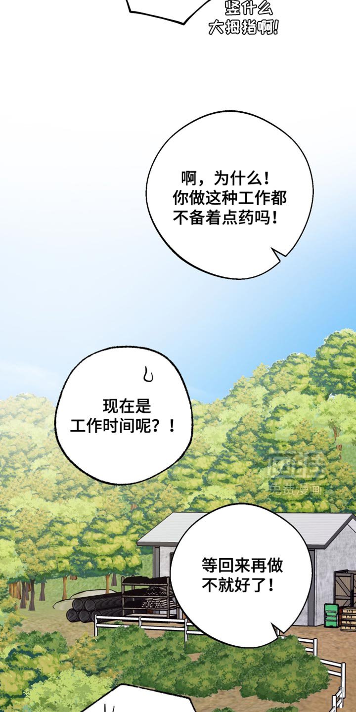 第51章：烦躁