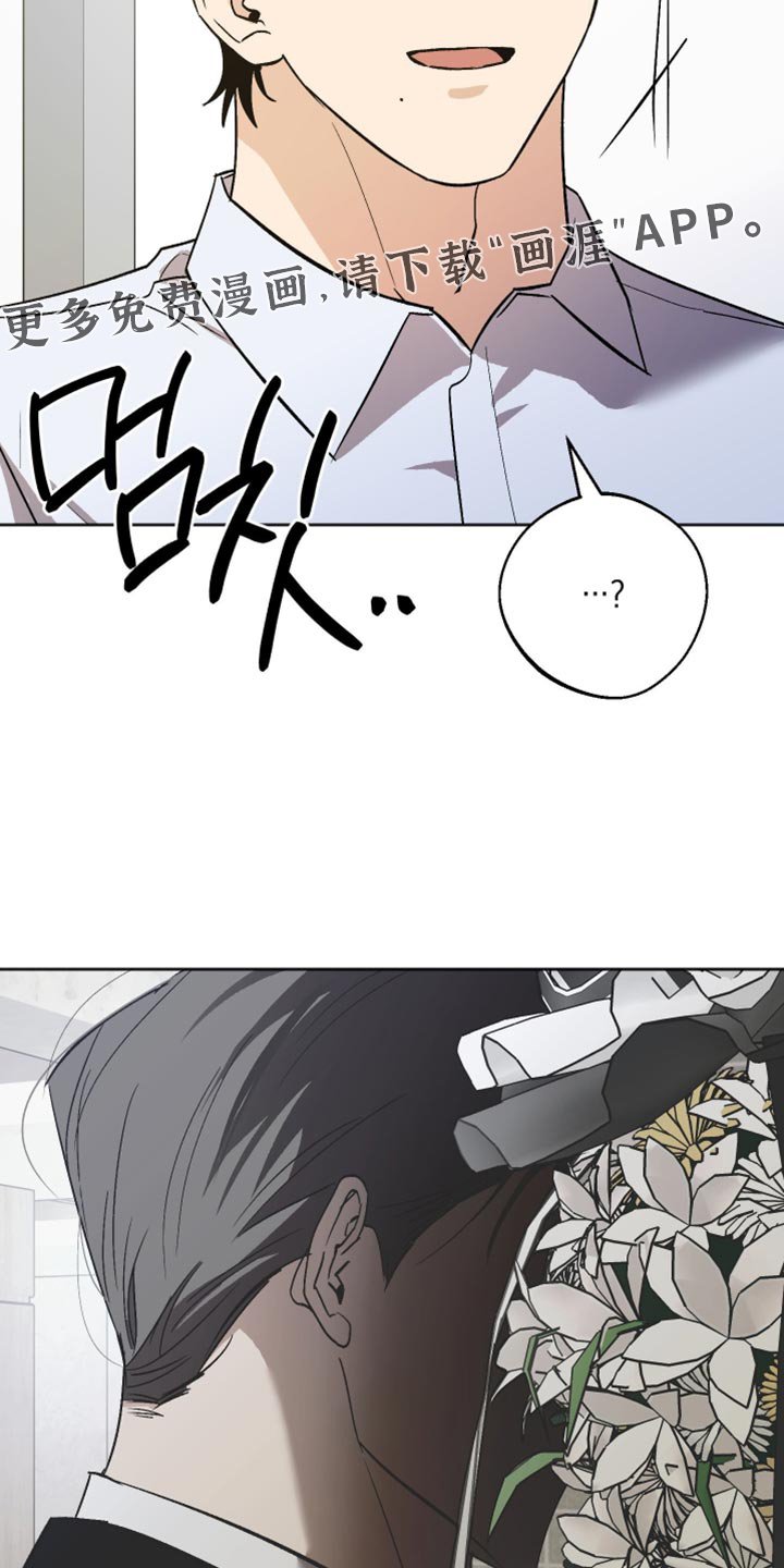 第53章：现实打击