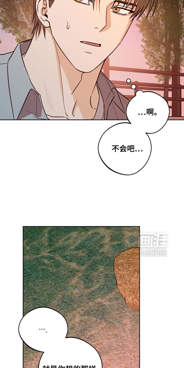 第56章：不必太担心了
