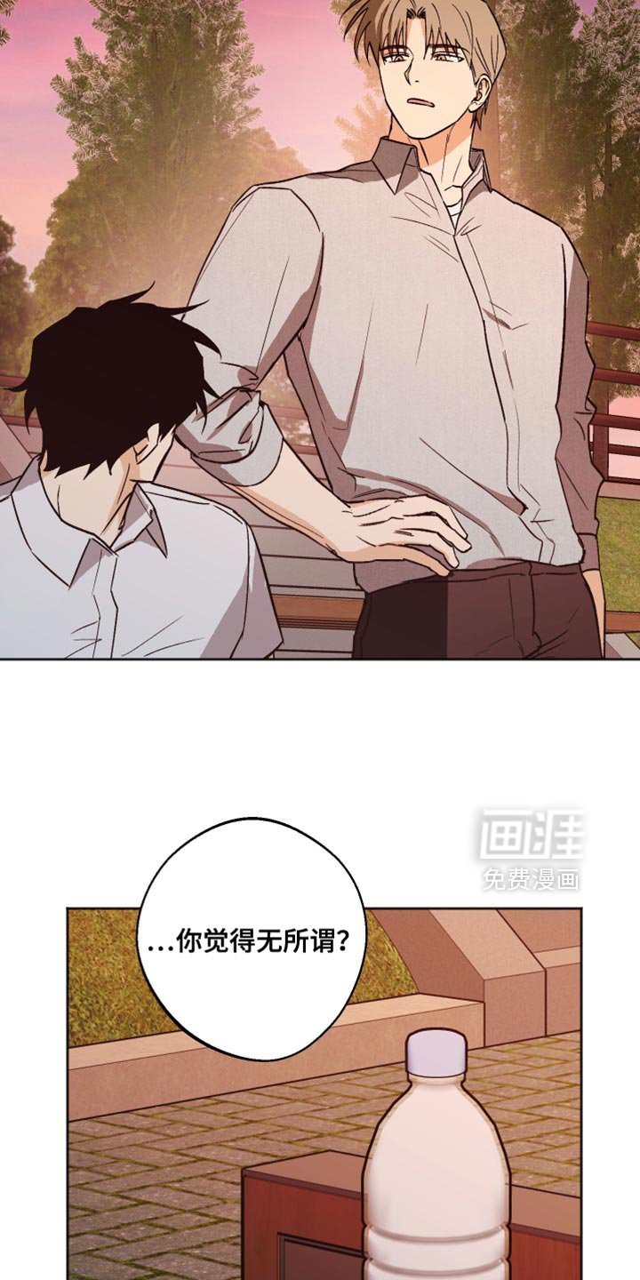 第56章：不必太担心了