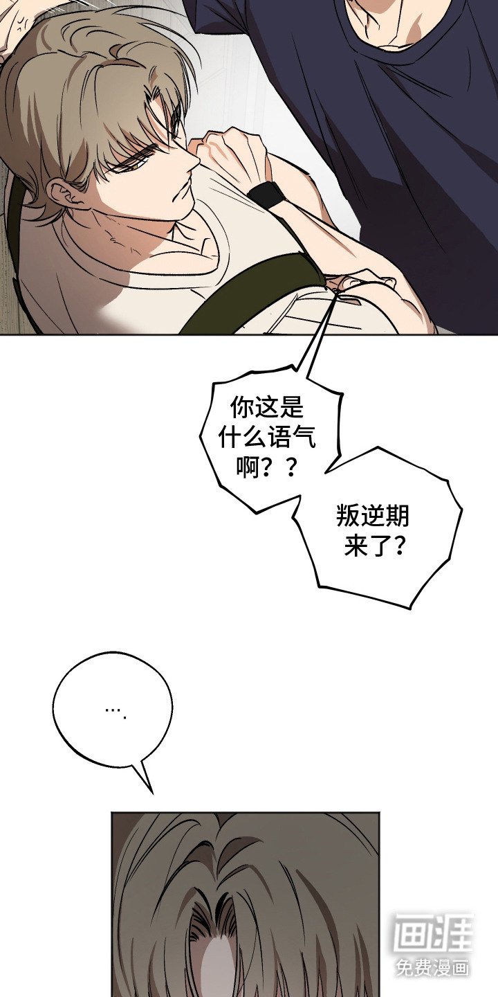 第6章：叛逆期