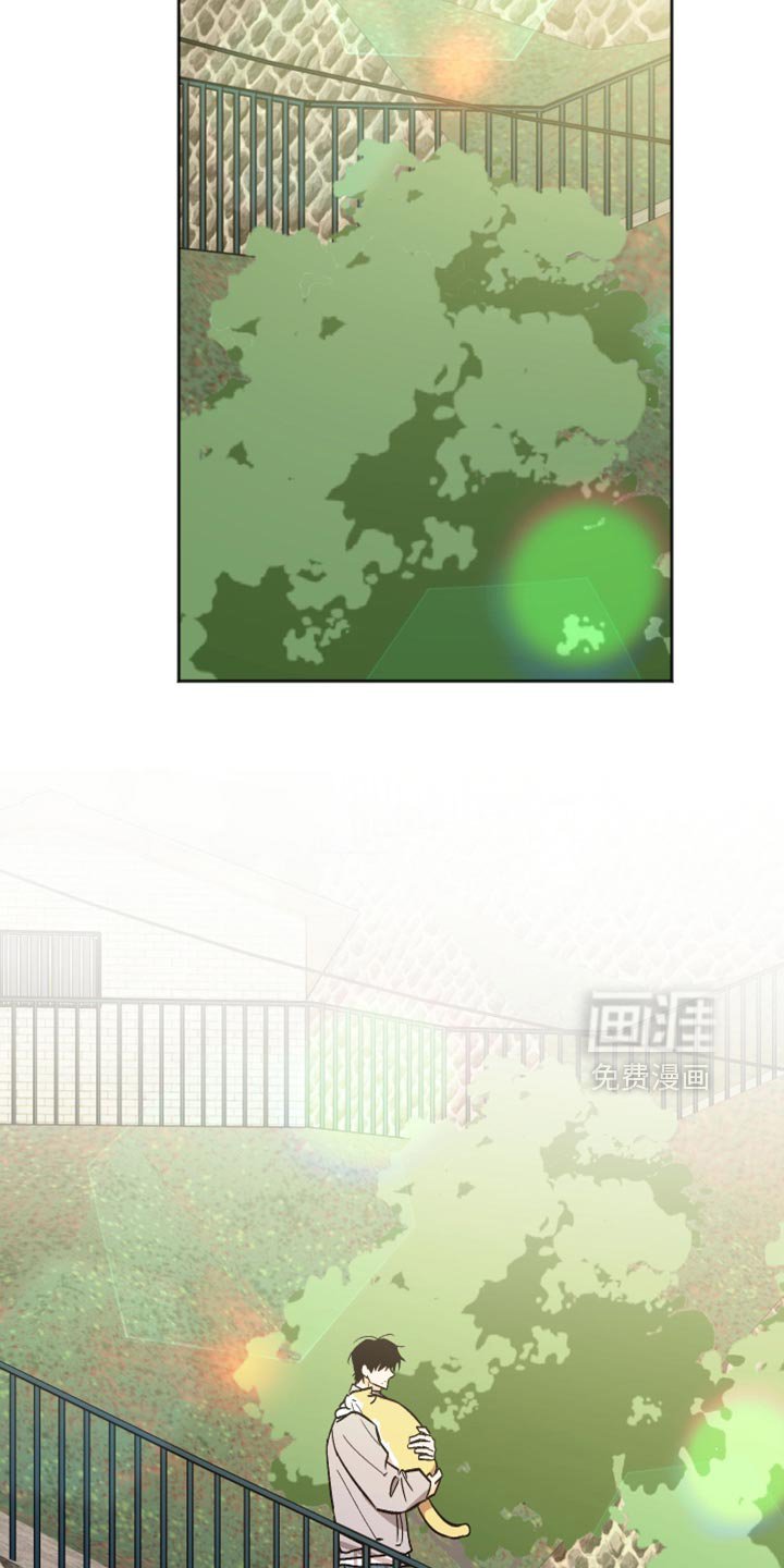 第69章：我一整天都在看着你