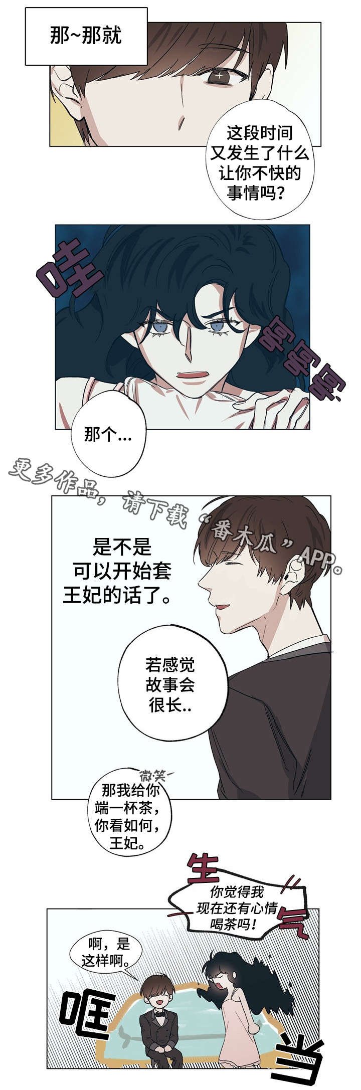 第13章：王妃的怒意