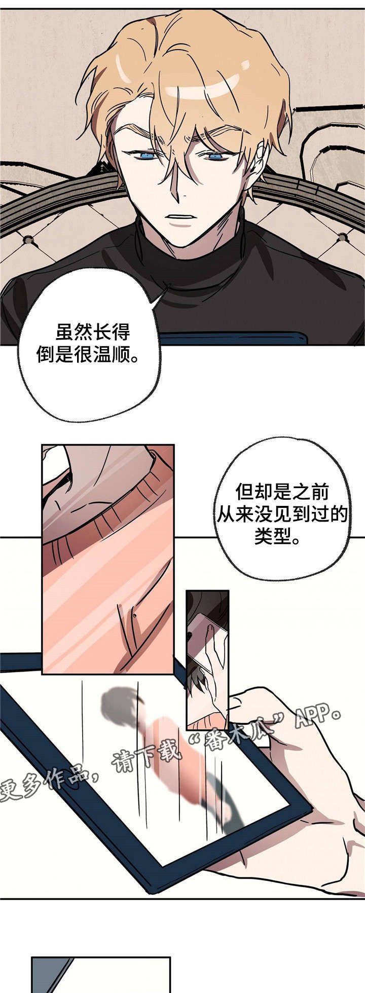 第19章：中场休息
