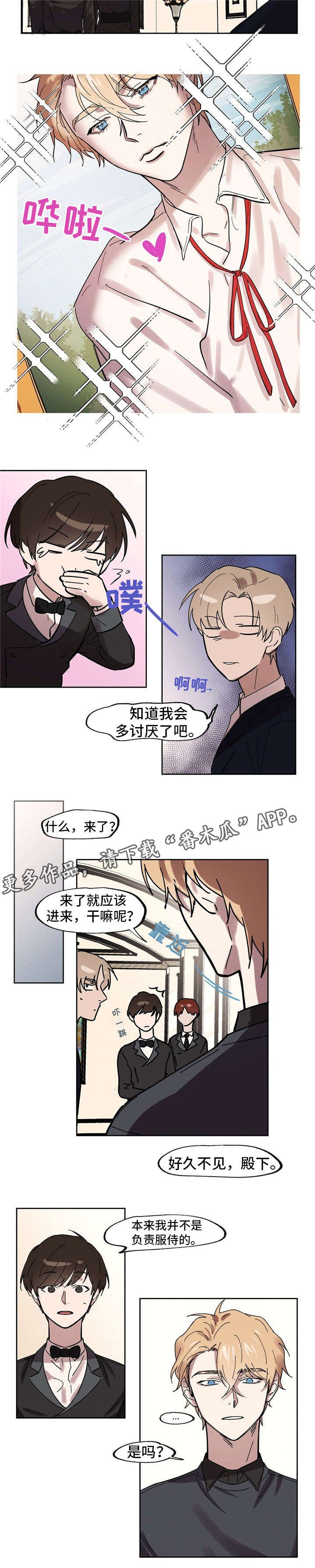 第25章：照片