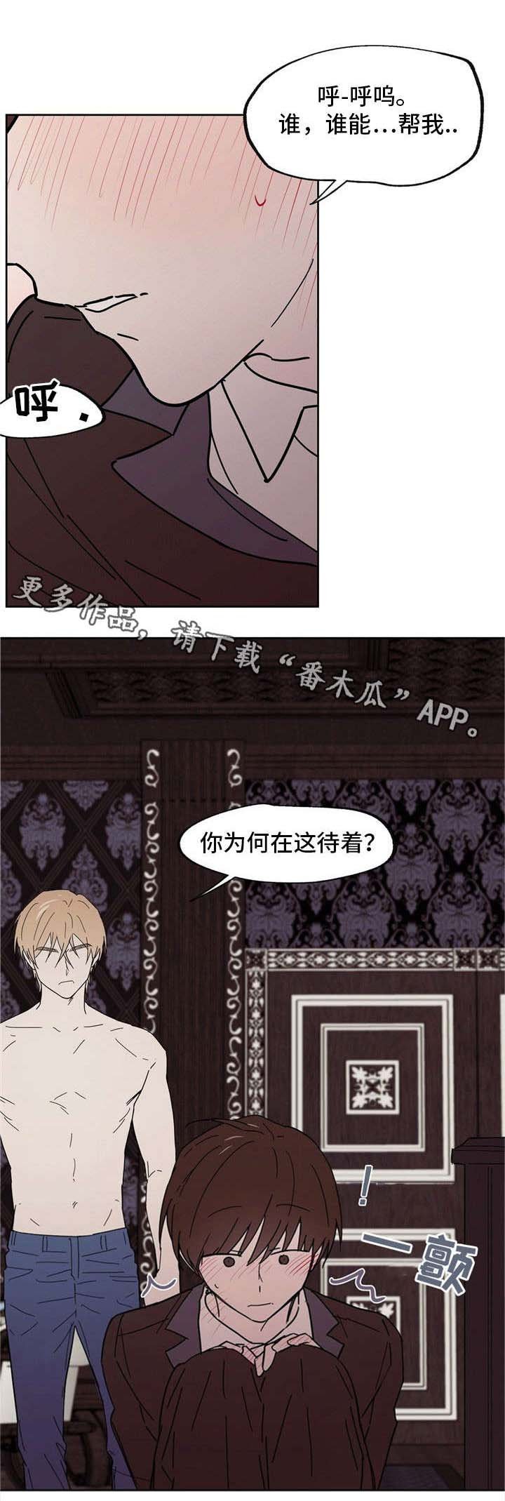 第36章：被下药