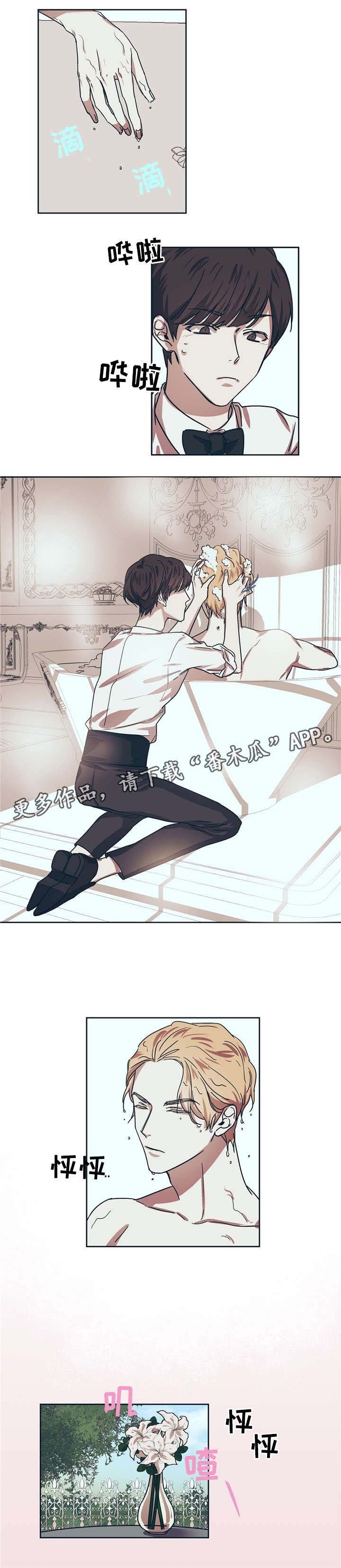 第4章：刮目相看