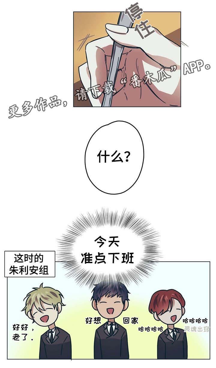 第8章：王妃