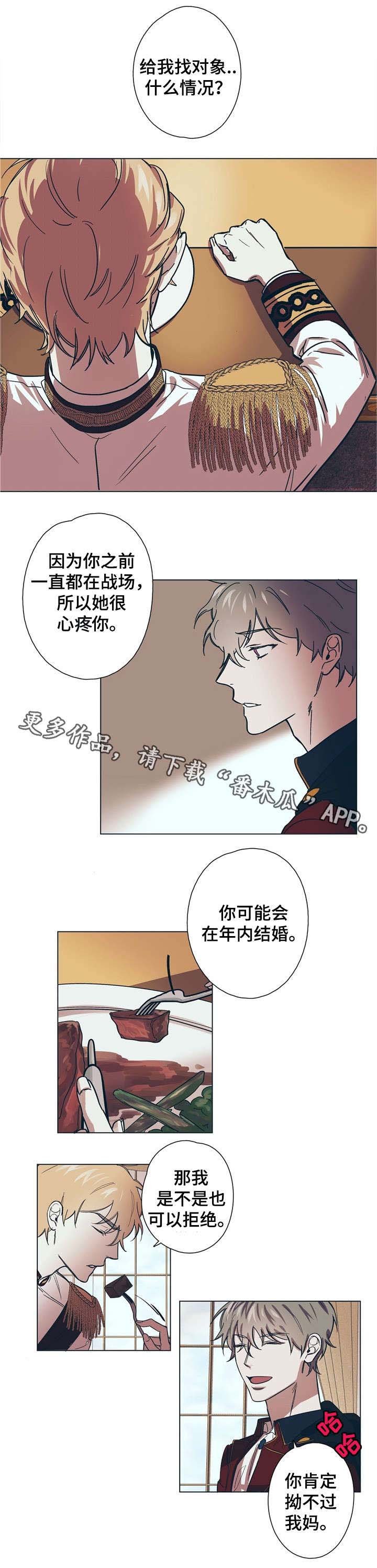 第8章：王妃