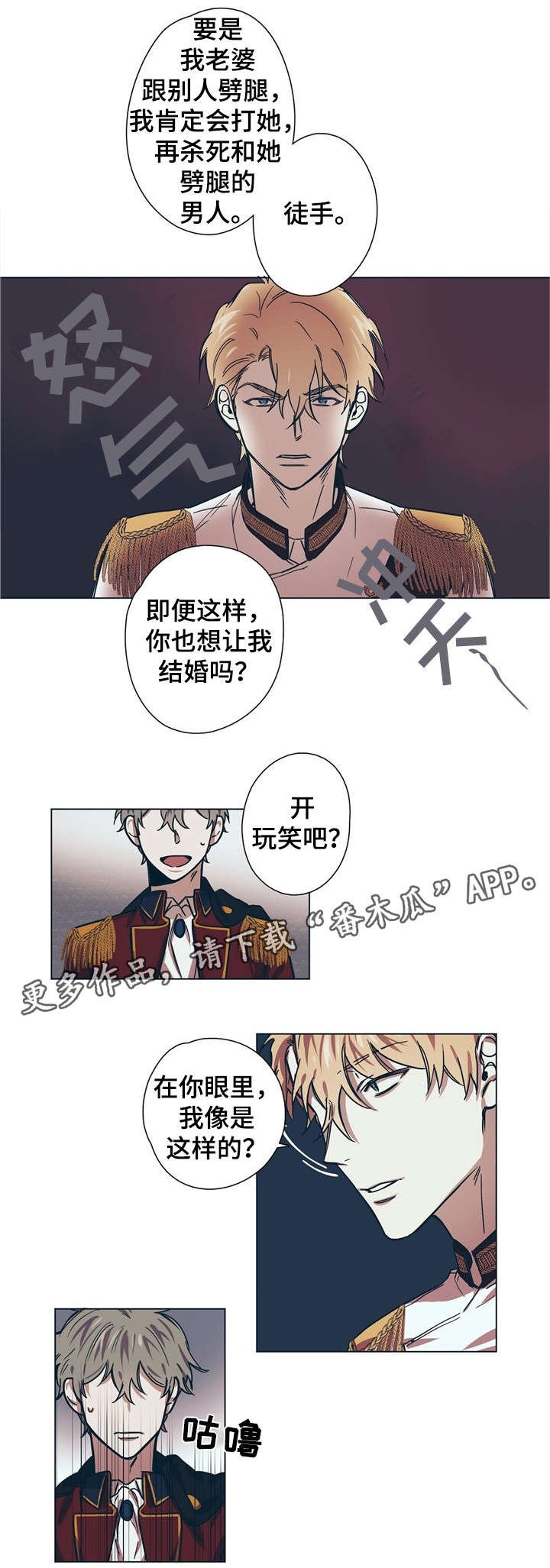 第8章：王妃