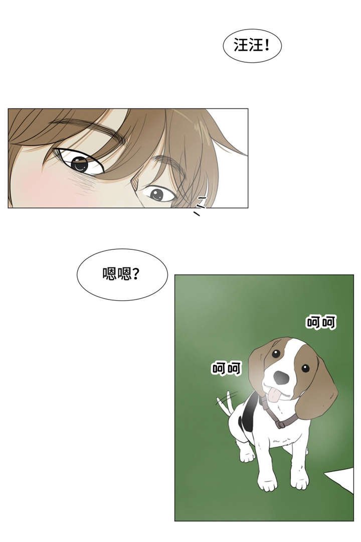第17章：警车声
