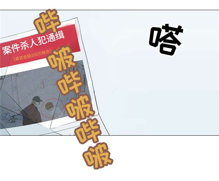 第17章：警车声