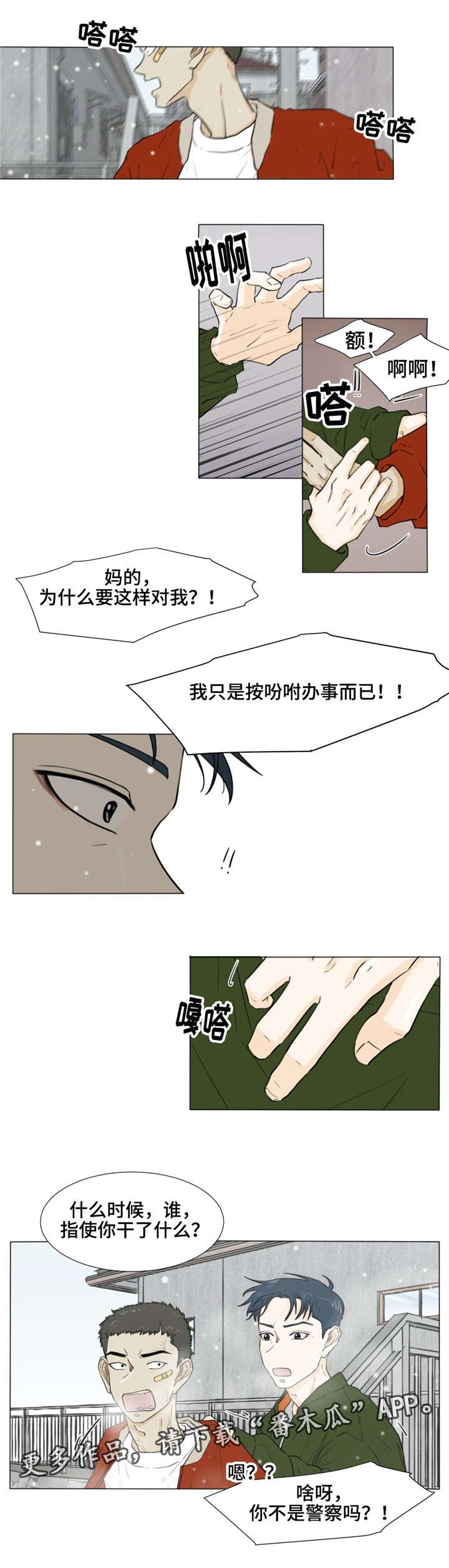 第29章：指使