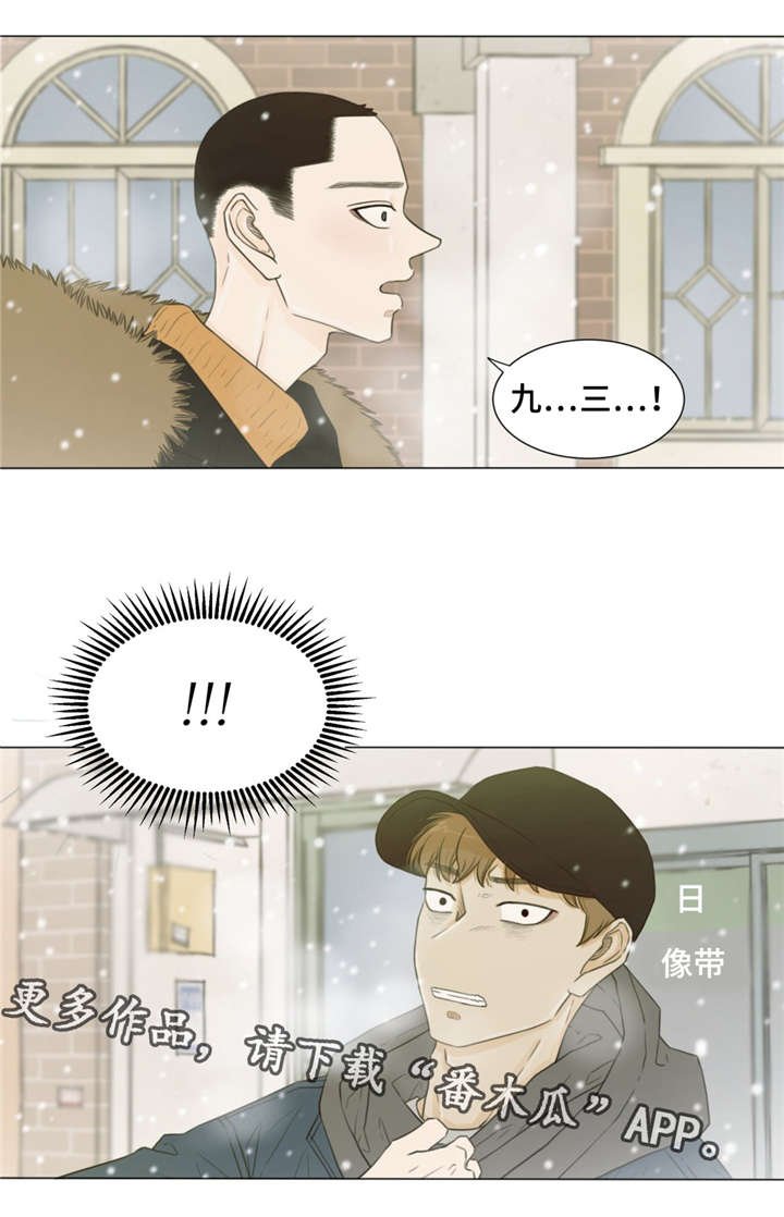 第29章：指使