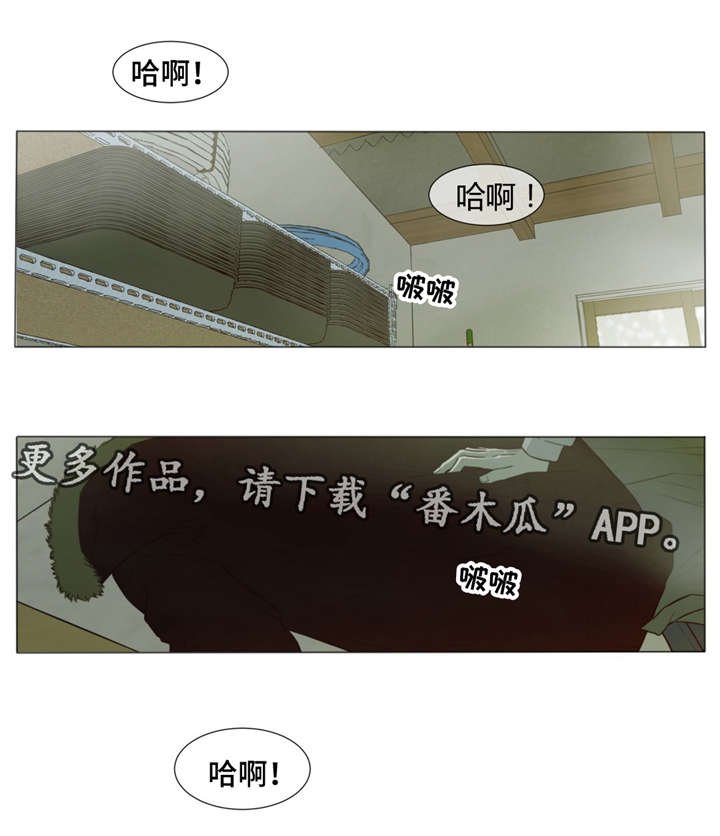 第34章：我想了解你