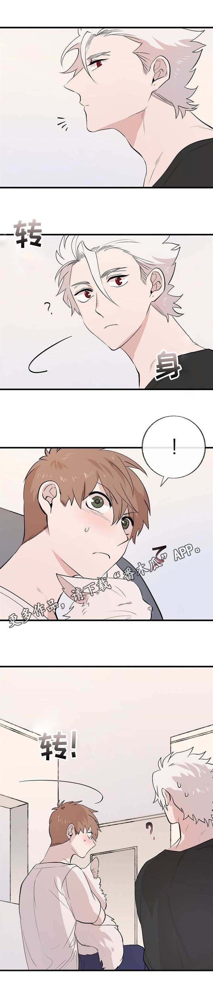 第11章：邀请