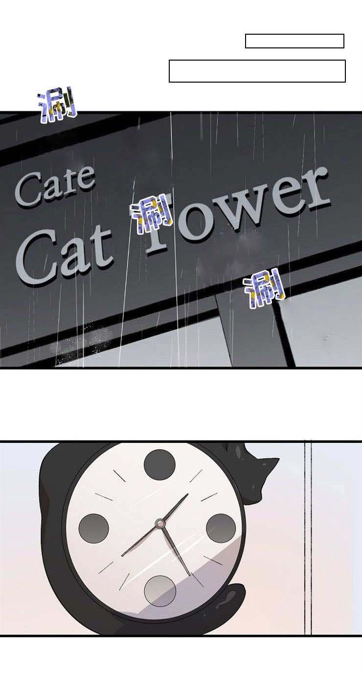 第15章：追逐