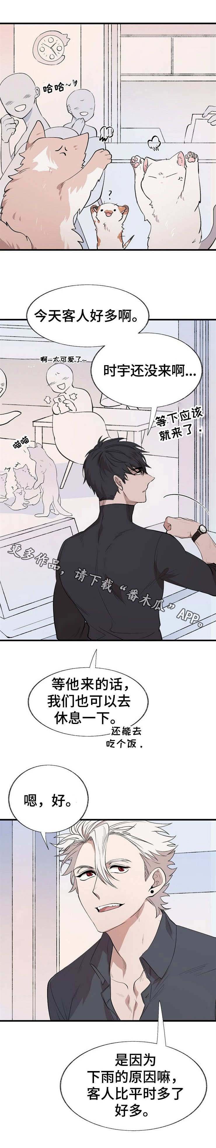 第15章：追逐