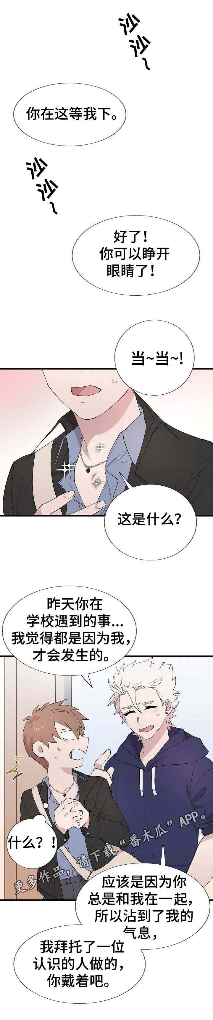 第19章：项链