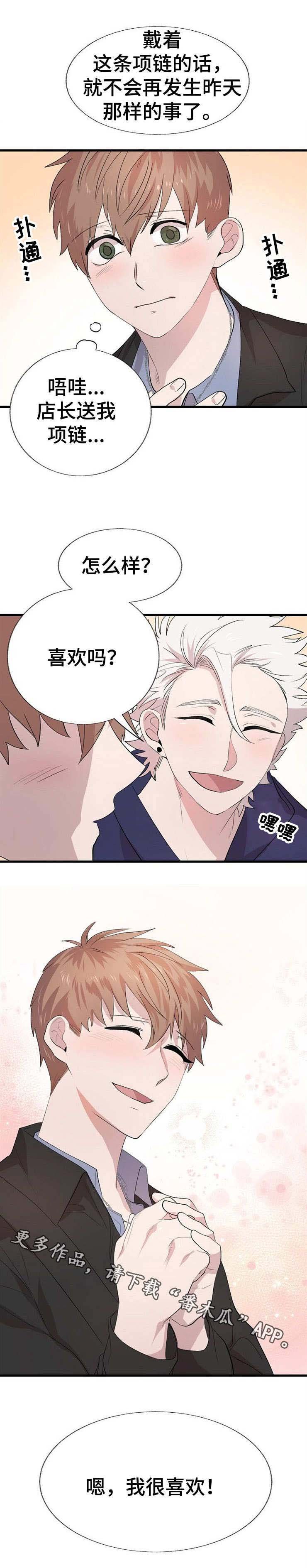 第19章：项链