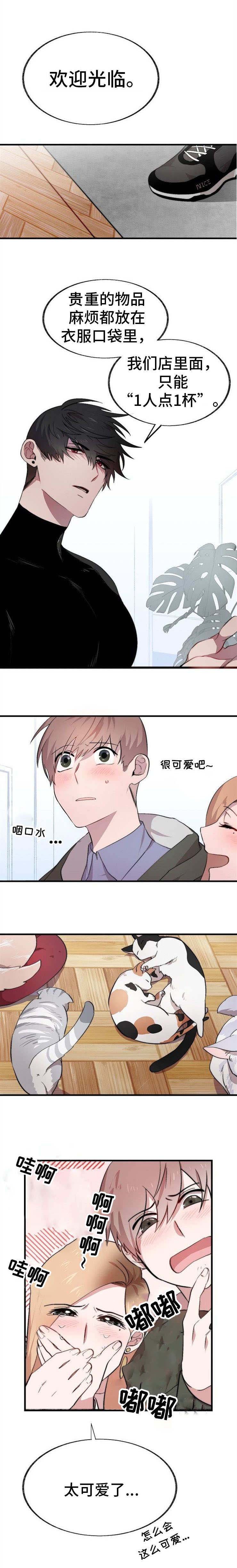 第2章：猫咪咖啡店