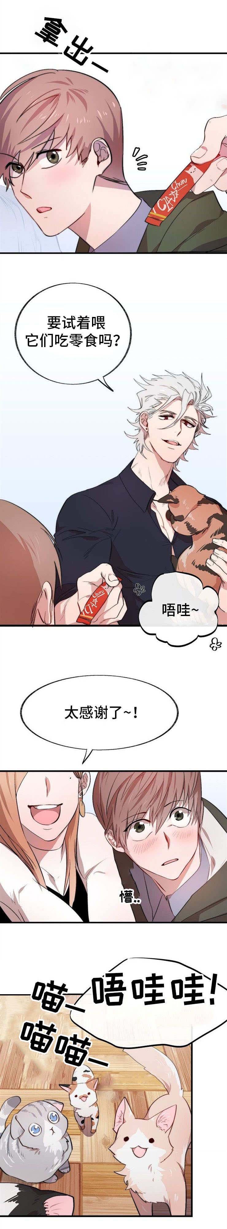第2章：猫咪咖啡店