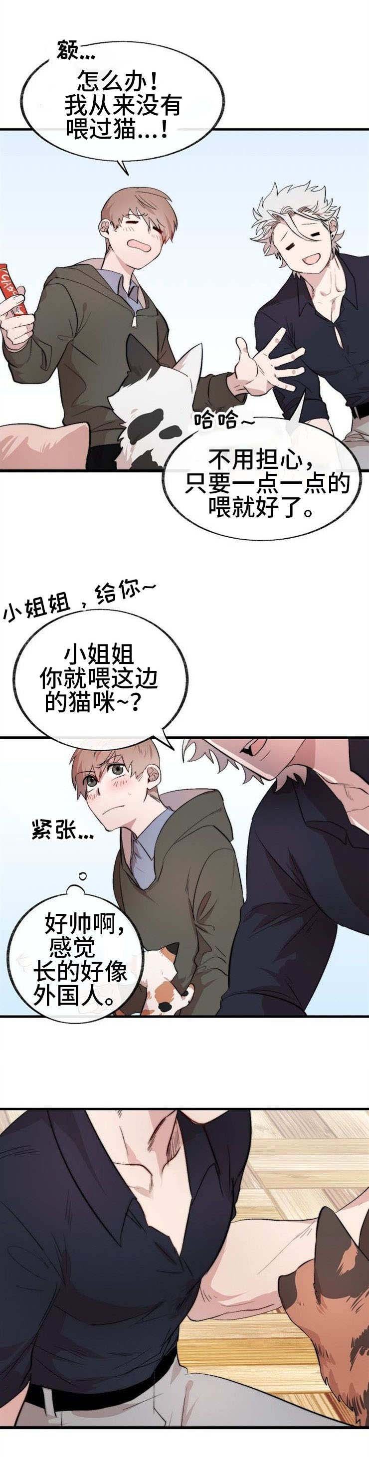 第2章：猫咪咖啡店