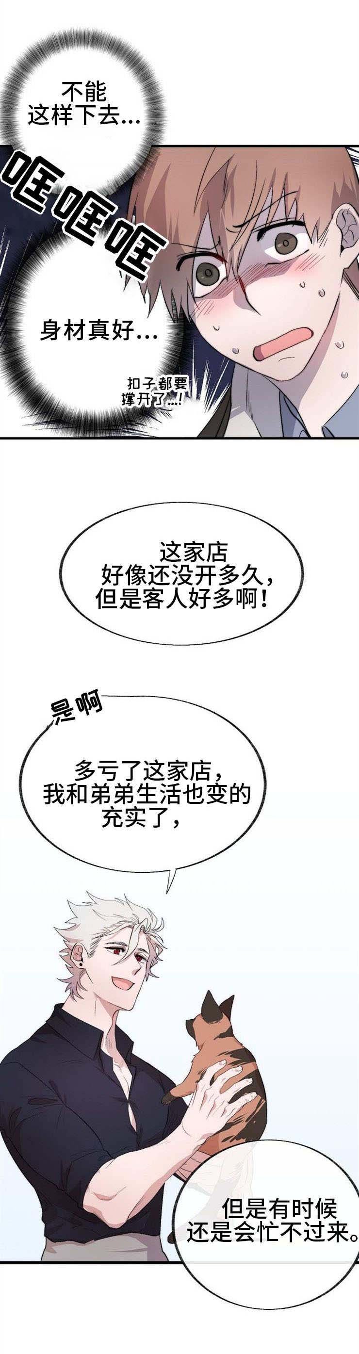 第2章：猫咪咖啡店