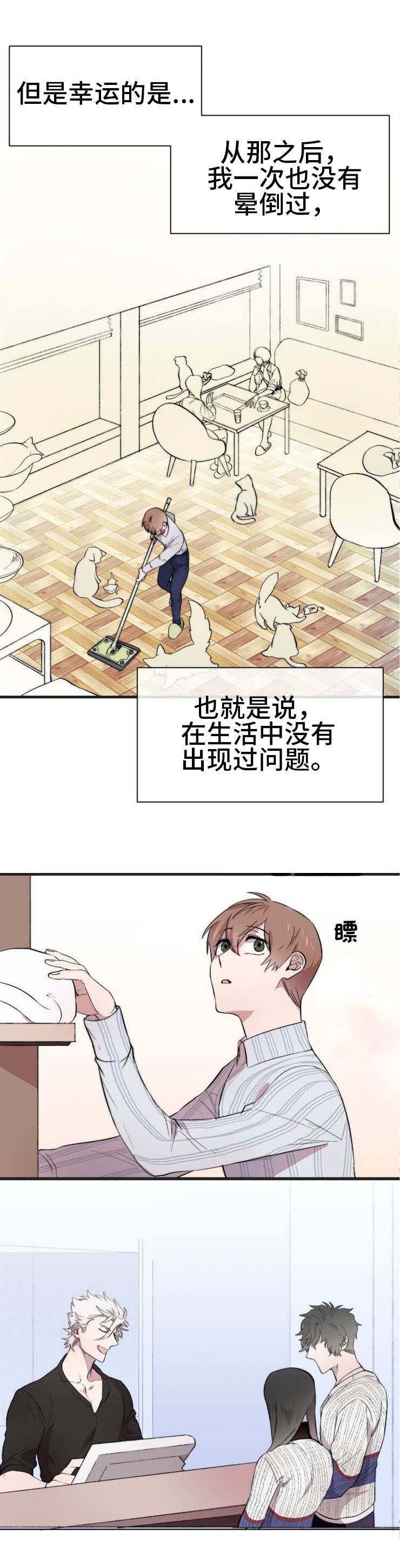 第2章：猫咪咖啡店