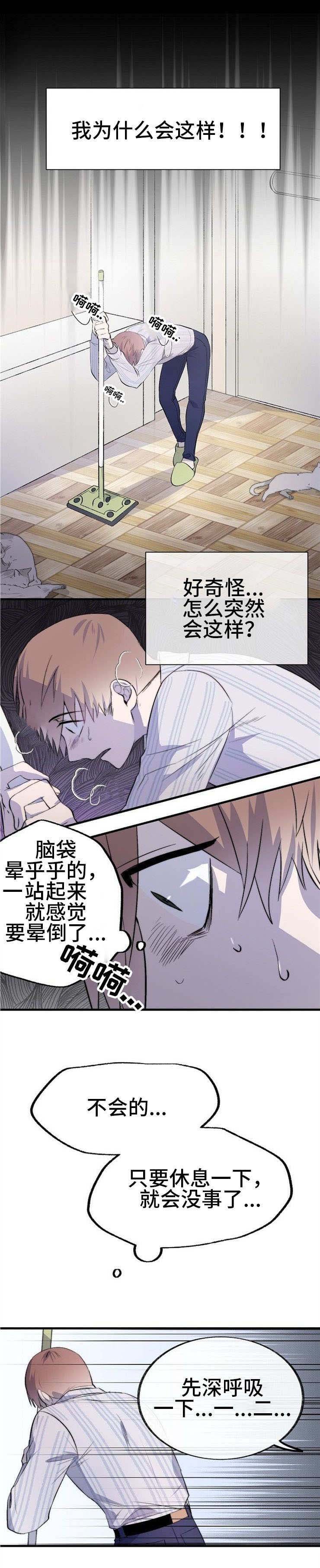 第2章：猫咪咖啡店