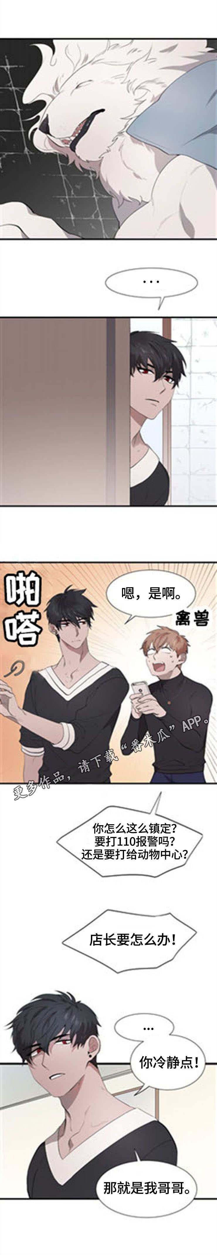 第21章：真身