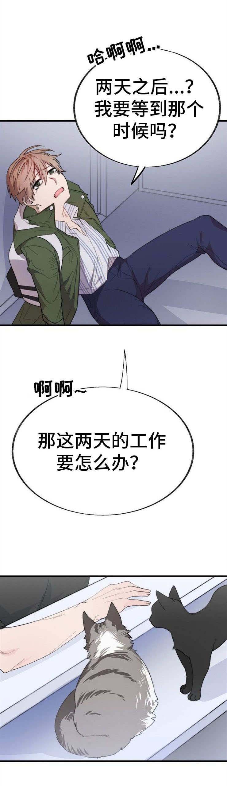 第4章：荒唐
