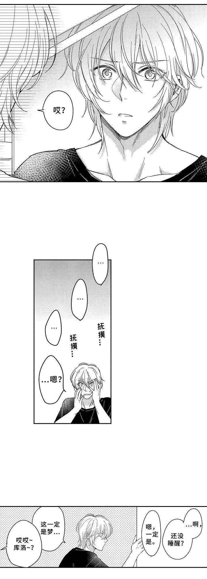 第20章：互换