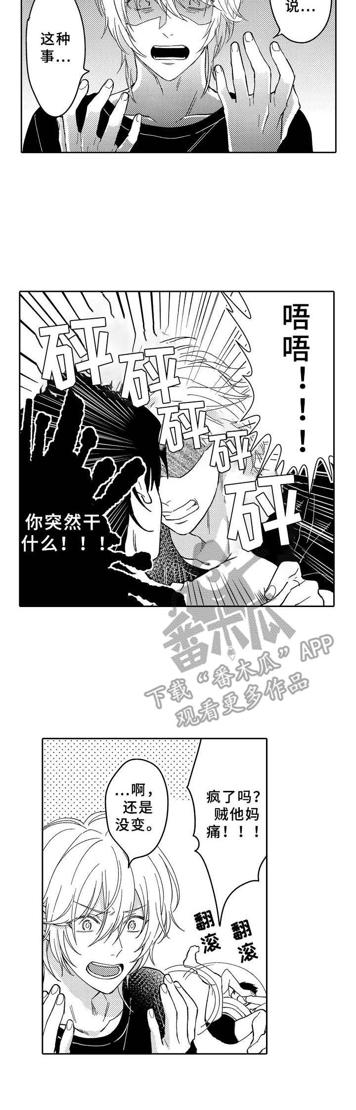 第20章：互换